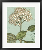 Botanique Bleu IV Framed Print