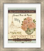Framed French Seed Packet II
