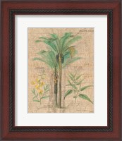 Framed Palm Study II