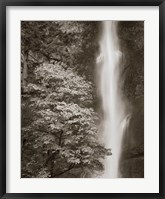 Framed Multnomah Falls