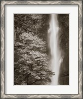 Framed Multnomah Falls