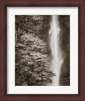 Framed Multnomah Falls