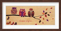 Framed Good Night Owl