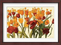 Framed Tulipomania