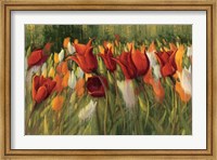 Framed Tipsy Tulips
