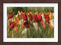 Framed Tipsy Tulips