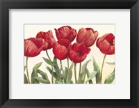 Framed Ruby Tulips