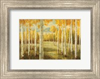 Framed Aspens