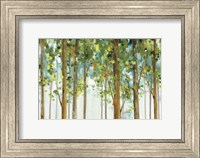 Framed Forest Study I Crop