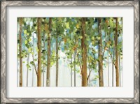 Framed Forest Study I Crop