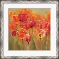 Framed Tulips in the Midst III Crop