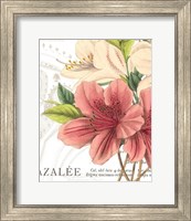 Framed 'Azalee Jardin I' border=