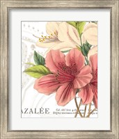 Framed Azalee Jardin I