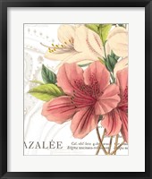 Framed Azalee Jardin I