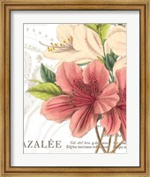 Framed Azalee Jardin I