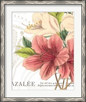 Framed Azalee Jardin I