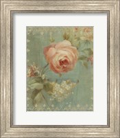 Framed Rose on Sage