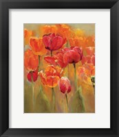 Framed Tulips in the Midst I