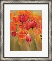 Framed 'Tulips in the Midst I' border=