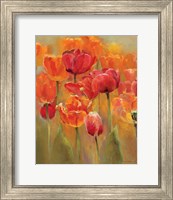 Framed 'Tulips in the Midst I' border=