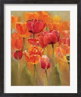 Framed Tulips in the Midst I