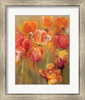 Framed Tulips in the Midst II
