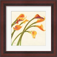 Framed Callas in the Wind I