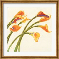 Framed Callas in the Wind I