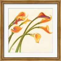 Framed Callas in the Wind I