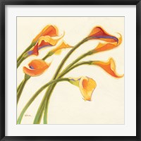 Framed Callas in the Wind I