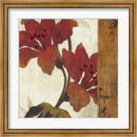 Framed Floral Harmony III