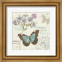 Framed Papillon Tales II