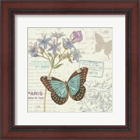 Framed Papillon Tales II