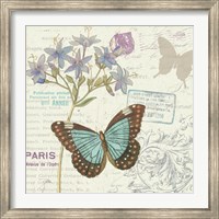 Framed Papillon Tales II