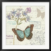 Papillon Tales II Framed Print