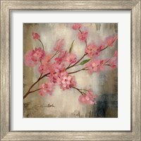 Framed 'Cherry Blossom I' border=