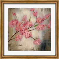 Framed Cherry Blossom I