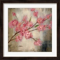 Framed Cherry Blossom I