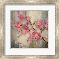 Framed 'Cherry Blossom II' border=