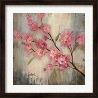 Framed Cherry Blossom II