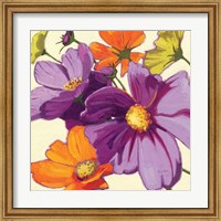 Framed Cosmos II