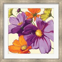 Framed Cosmos II