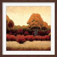 Framed Autumn Forest I