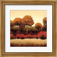 Framed 'Autumn Forest II' border=