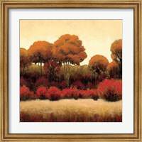 Framed Autumn Forest II