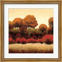 Framed 'Autumn Forest II' border=