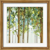 Framed Forest Study II