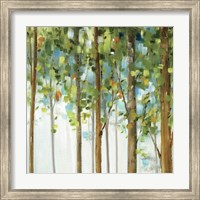 Framed Forest Study III