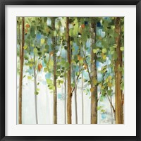 Framed Forest Study III