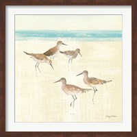 Framed Sand Pipers Square I